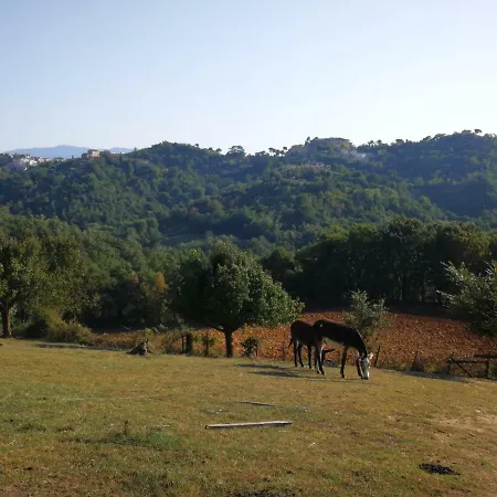 Alloggio per agriturismo Cisogna